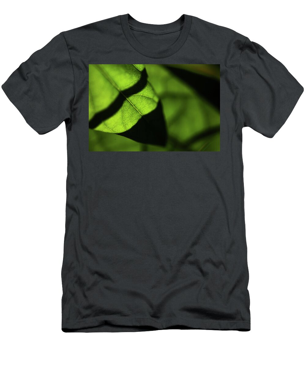 Play of Light and Shadow Green Leaf Macro 13 Jenny Rainbow T-Shirt