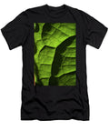 Play of Light and Shadow Green Leaf Macro 6 Jenny Rainbow T-Shirt