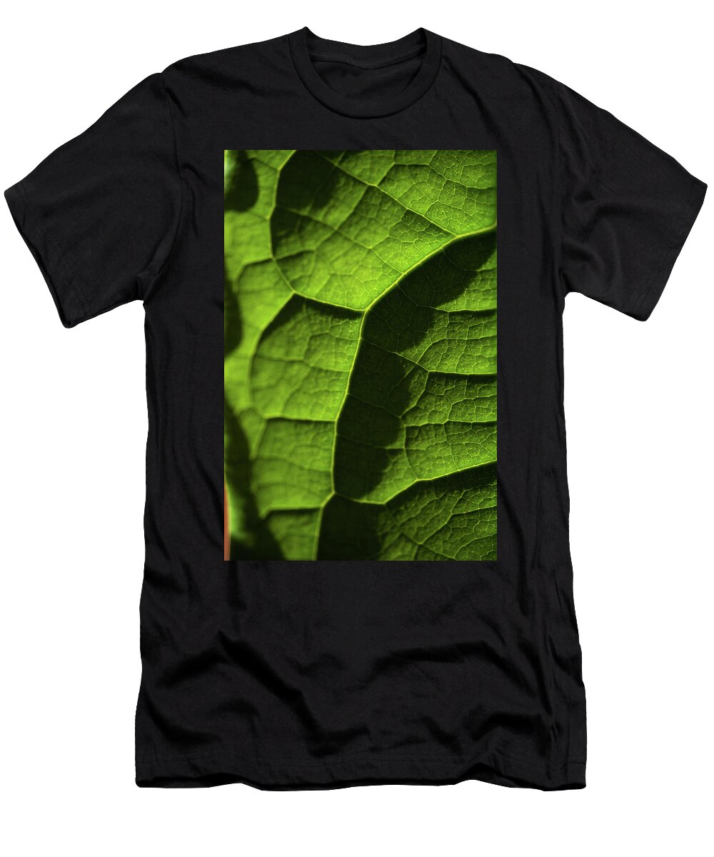 Play of Light and Shadow Green Leaf Macro 6 Jenny Rainbow T-Shirt