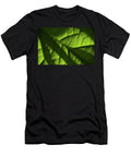 Play of Light and Shadow Green Leaf Macro 8 Jenny Rainbow T-Shirt