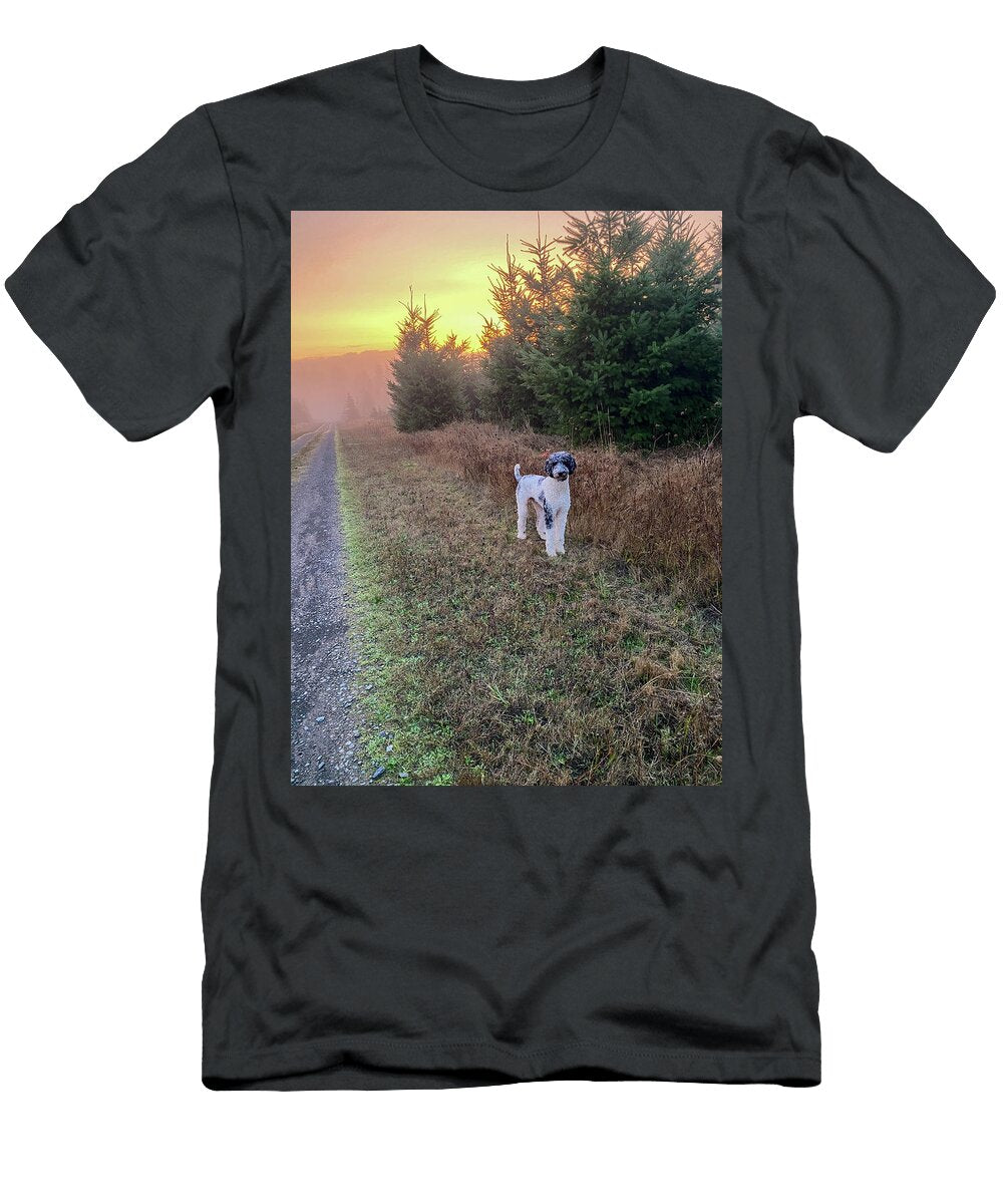 Poodle and a Sunrise Blenda Studio T-Shirt