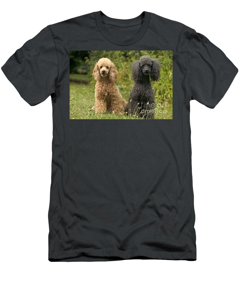 Poodle Dogs Jean Michel Labat T-Shirt