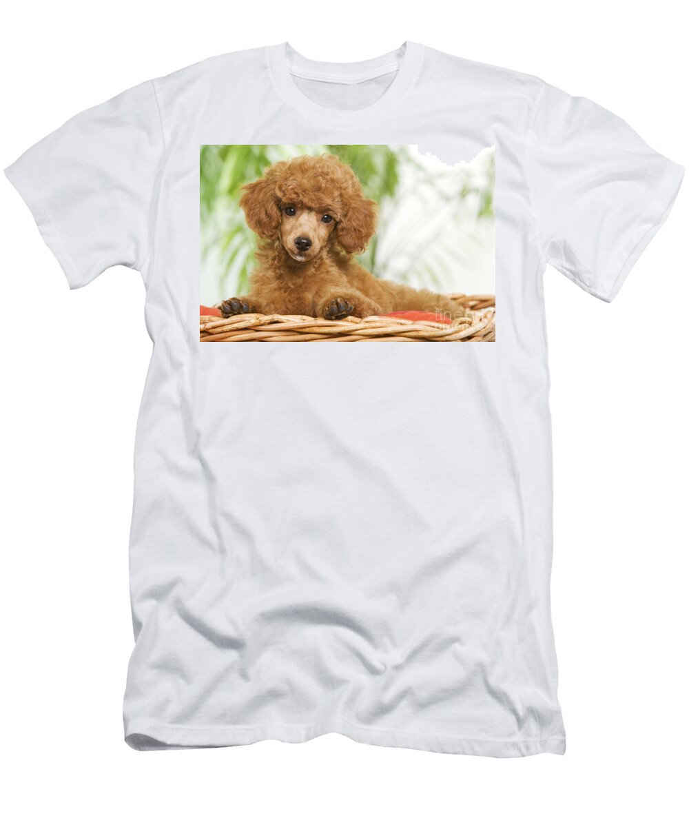 Poodle Jean Michel Labat T-Shirt