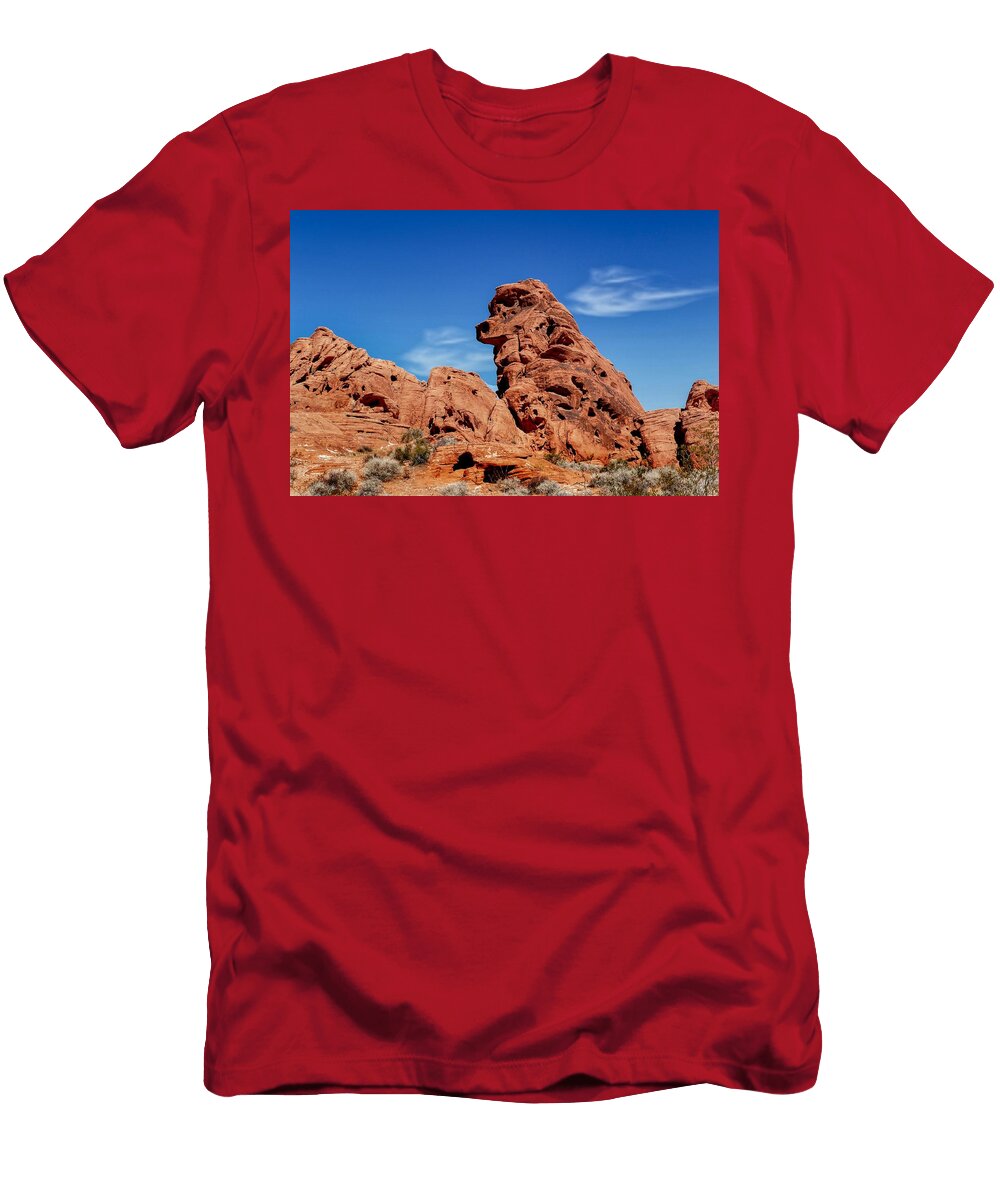 Poodle Rock Bernard Spragg T-Shirt