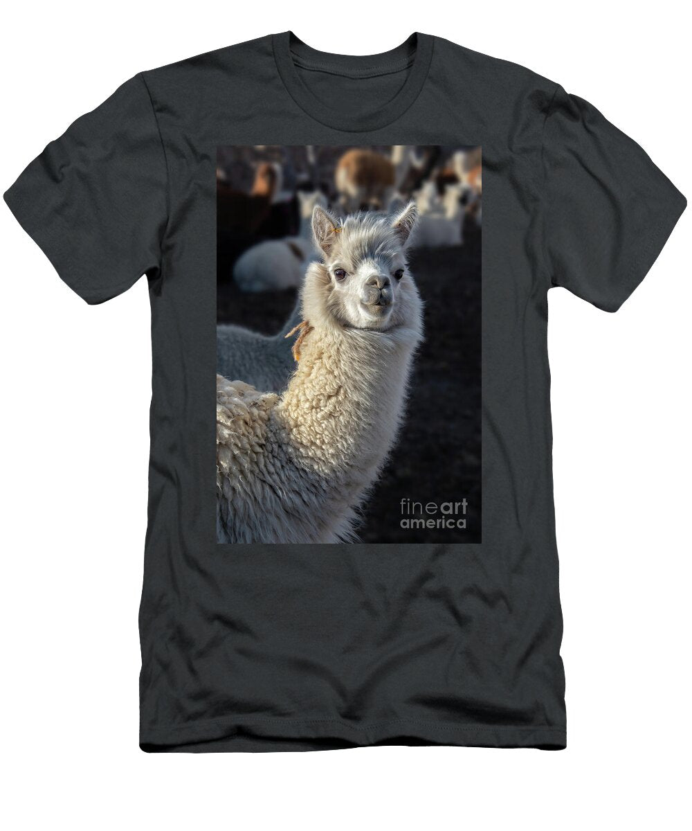 Portrait of an Alpaca Delphimages Photo Creations T-Shirt