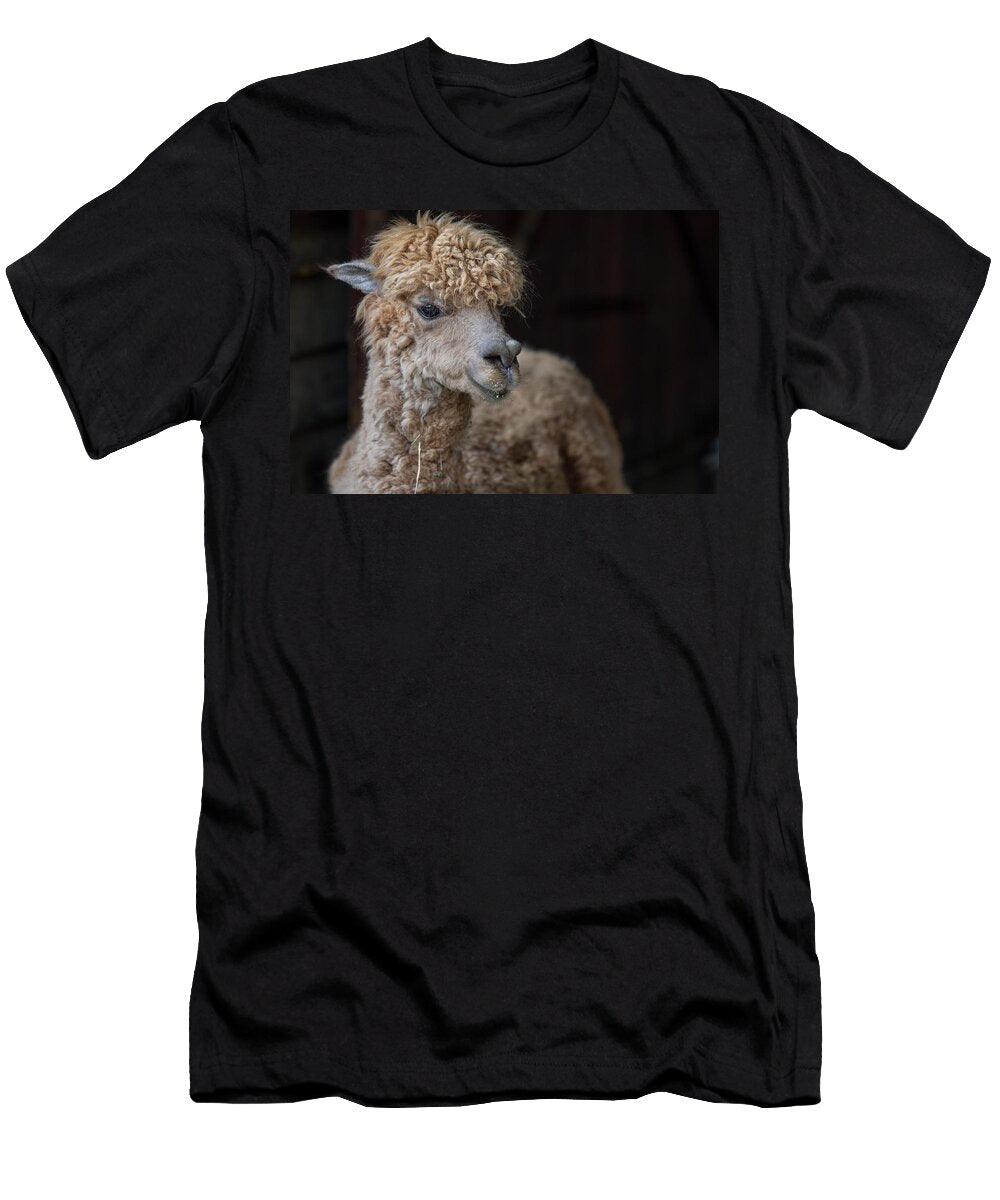 Portrait of an Alpaca Greg Nyquist T-Shirt