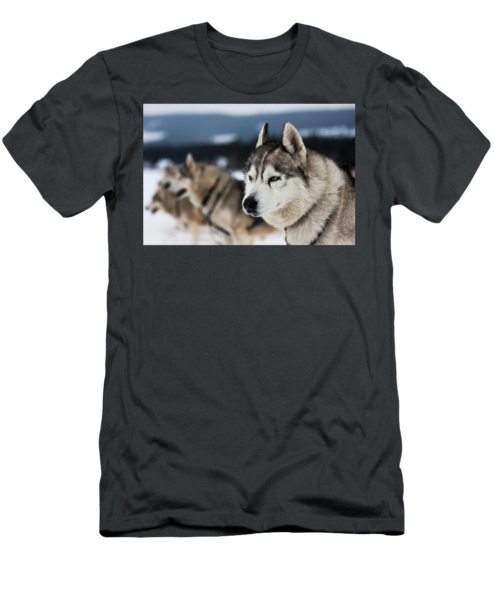 Portrait of Siberian Husky Sled Dogs Adam Kokot T-Shirt