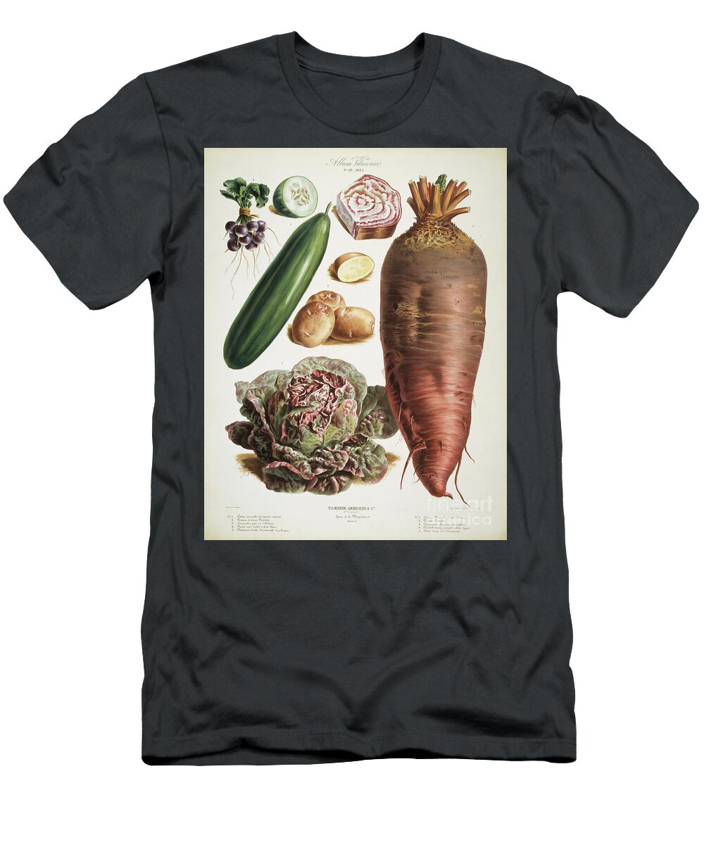 Potato and Radish Elisa Champin T-Shirt