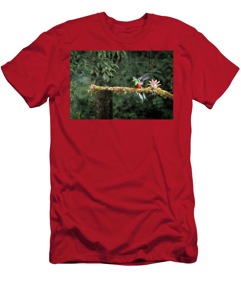 Quetzal Avocado Lunch Patti Deters T-Shirt