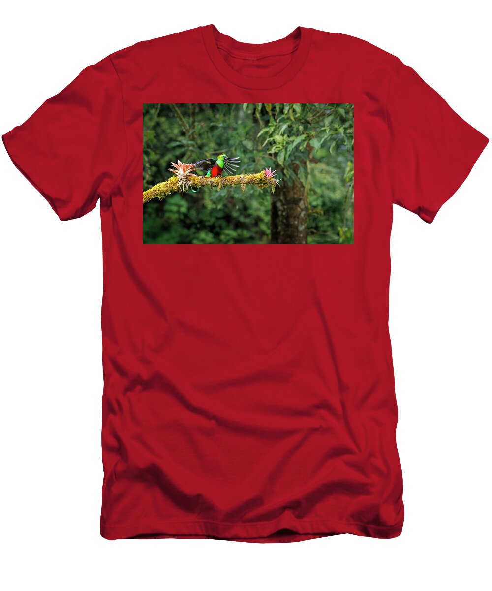 Quetzal Eating an Avocado Patti Deters T-Shirt