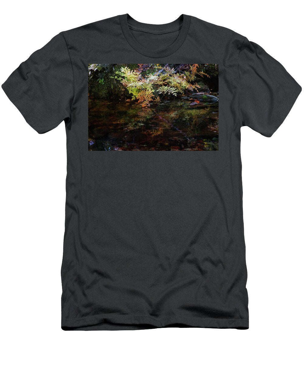 Rainbow Pickle Creek Reflections 6272 H3 Steven Ward T-Shirt