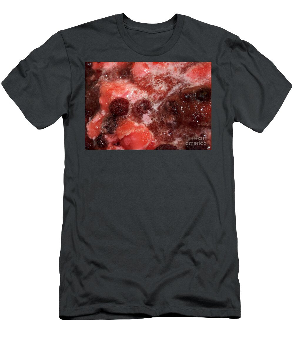 Raspberry Sherbet Punch Gwyn Newcombe T-Shirt