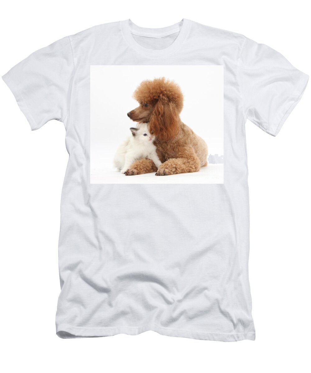 Red Toy Poodle and Kitten Mark Taylor T-Shirt