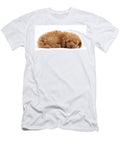 Red Toy Poodle Puppy Mark Taylor T-Shirt