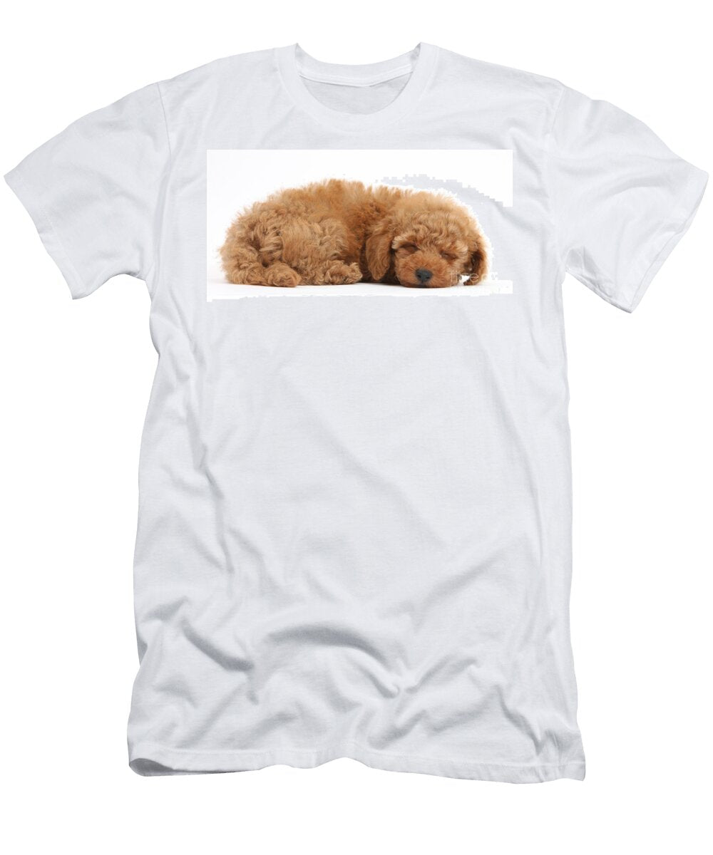 Red Toy Poodle Puppy Mark Taylor T-Shirt