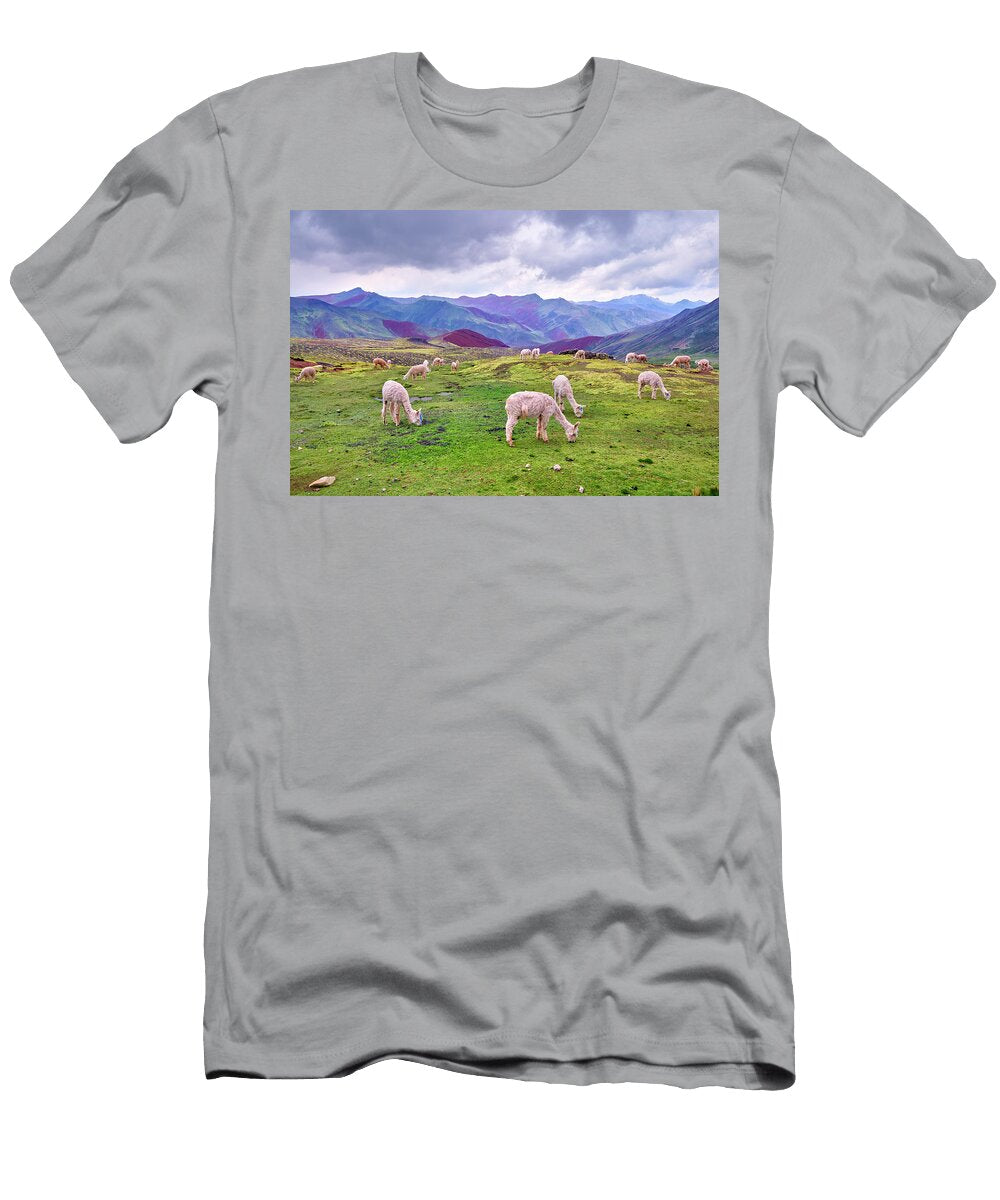 Red Valley Mountain Alpacas Palcoyo Peru 5000 Meters Guido Montanes Castillo T-Shirt