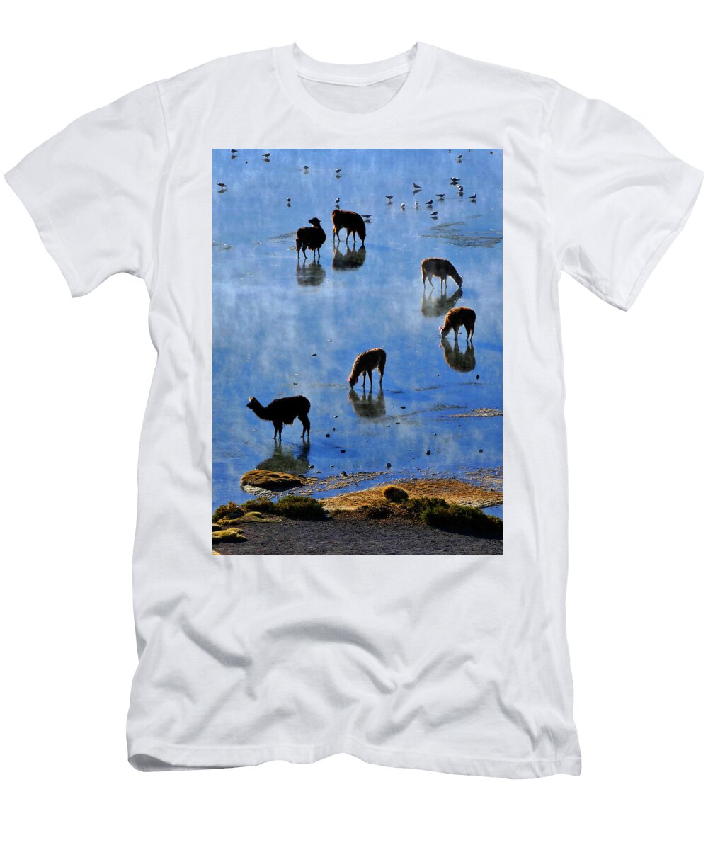 Rendezvous Skip Hunt T-Shirt