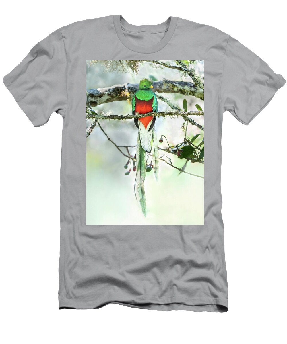 Resplendent Quetzal on a Mossy Branch Tran Boelsterli T-Shirt