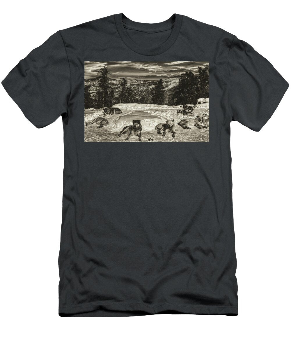Resting After the Long Haul Mountain Dreams T-Shirt