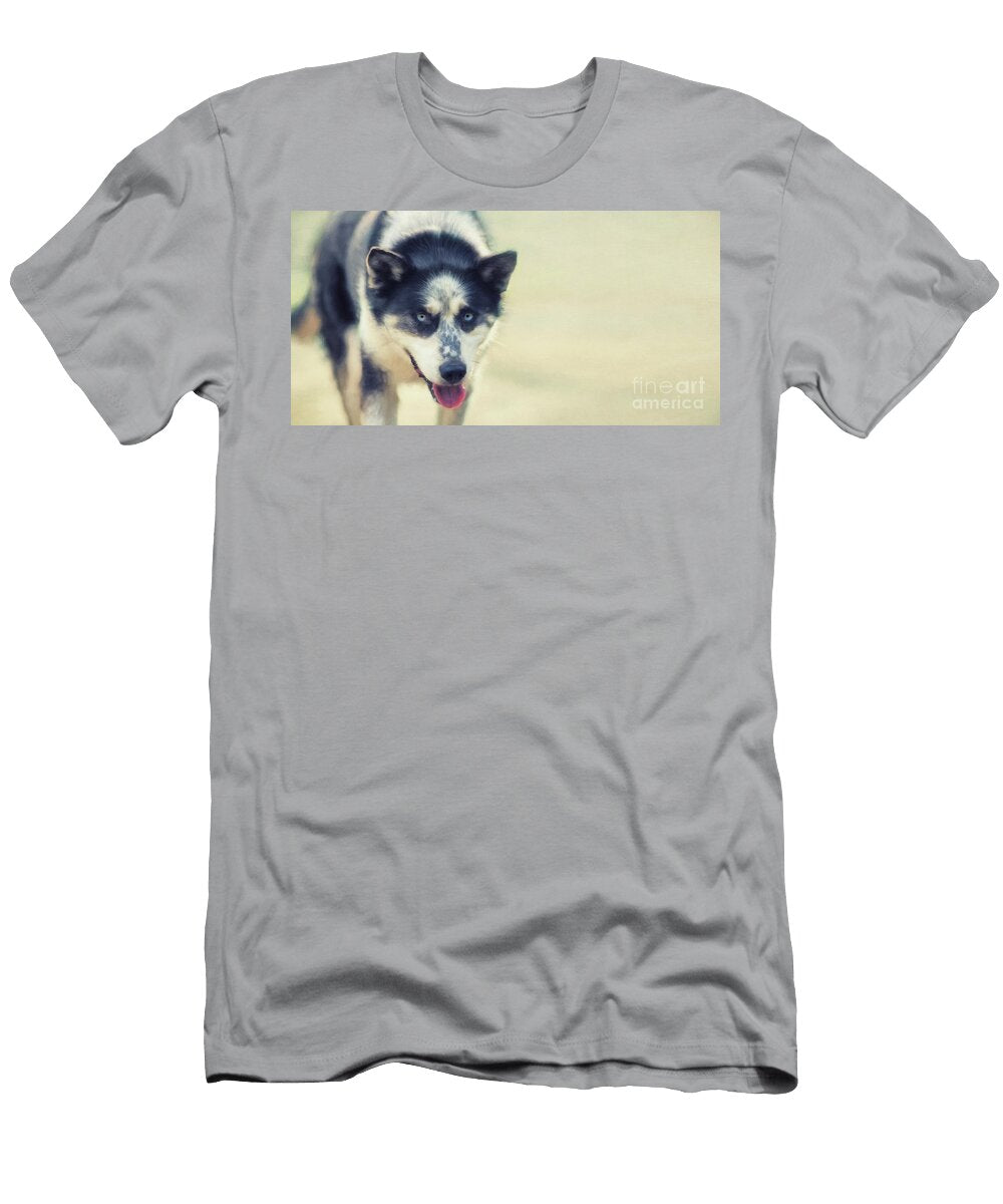 Sabu Priska Wettstein T-Shirt