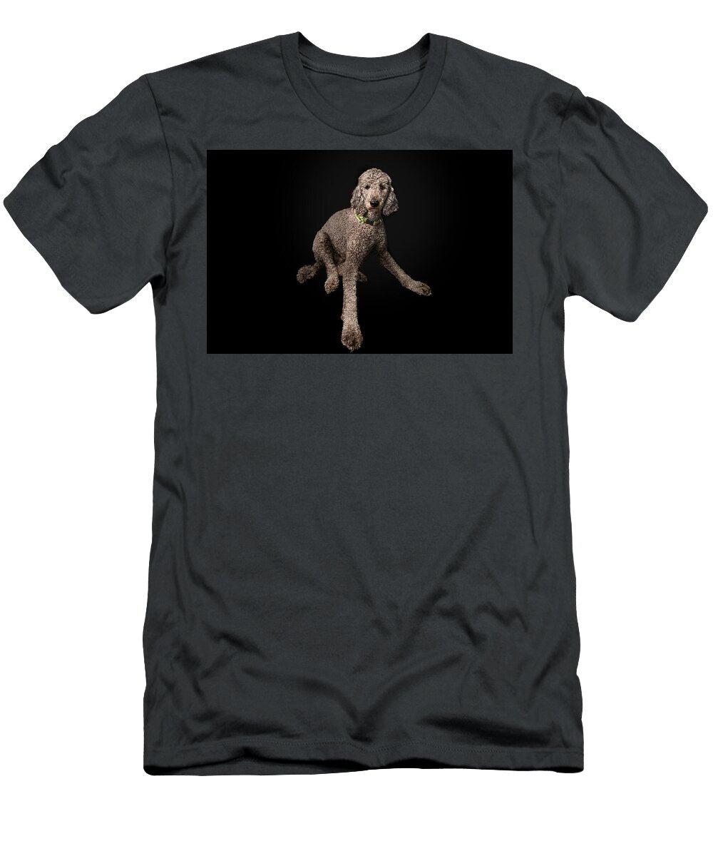 Sailor M Pose Paul Sears Resilient Rover T-Shirt
