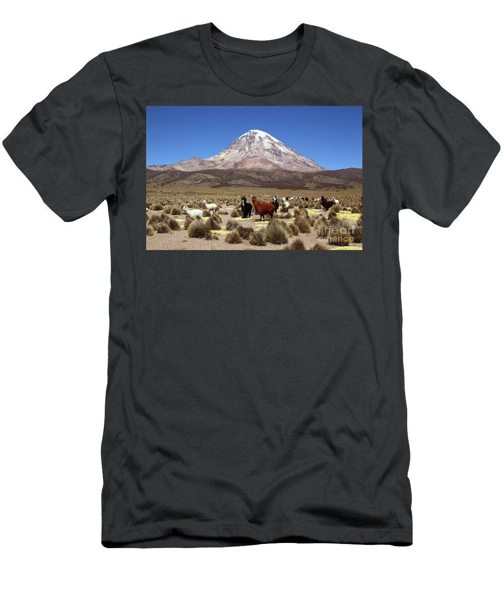 Sajama Volcano and Alpacas Bolivia James Brunker T-Shirt