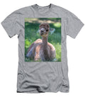 San Juan Alpaca Sheer Heaven Betsy Knapp T-Shirt