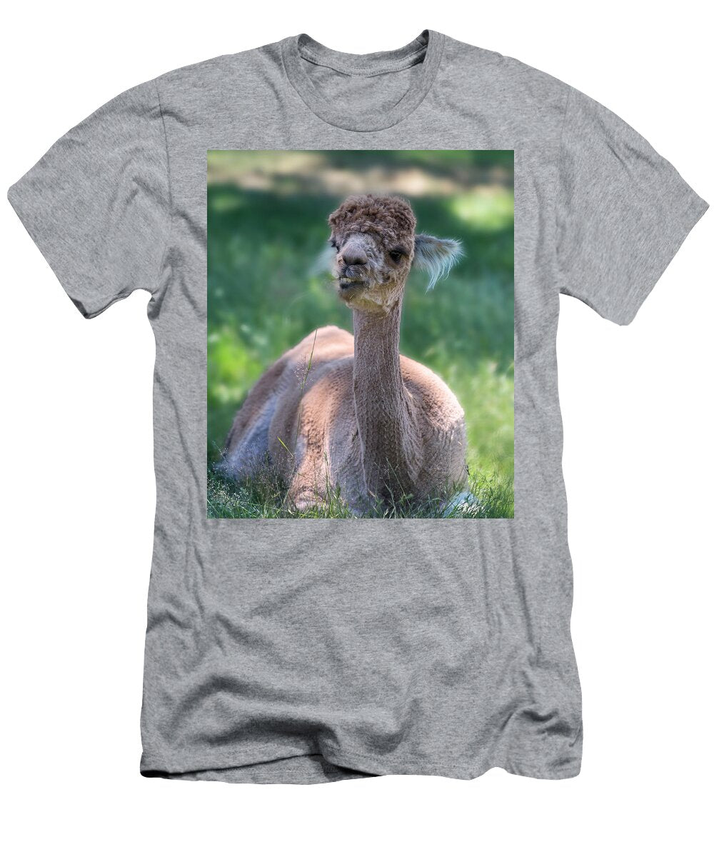 San Juan Alpaca Sheer Heaven Betsy Knapp T-Shirt