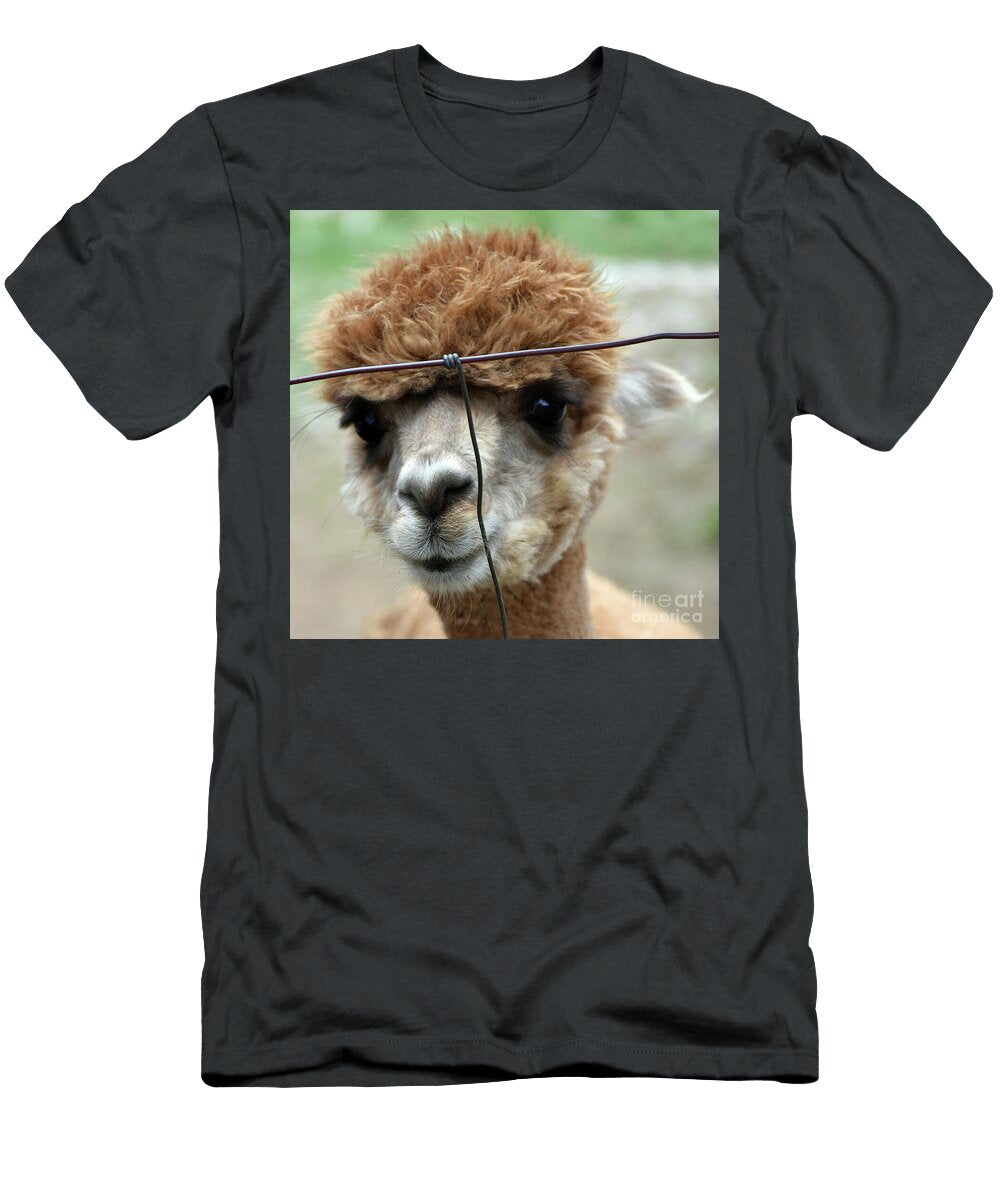 Sassy Alpaca Skip Willits T-Shirt