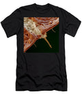 Scale Insect Meckesottawa T-Shirt