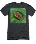Scale Insect on an Avocado 2701 Meckesottawa T-Shirt