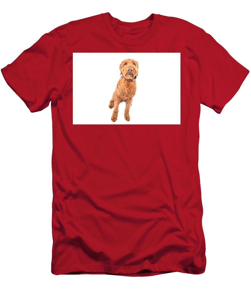 Scooby H Portrait Paul Sears Resilient Rover T-Shirt