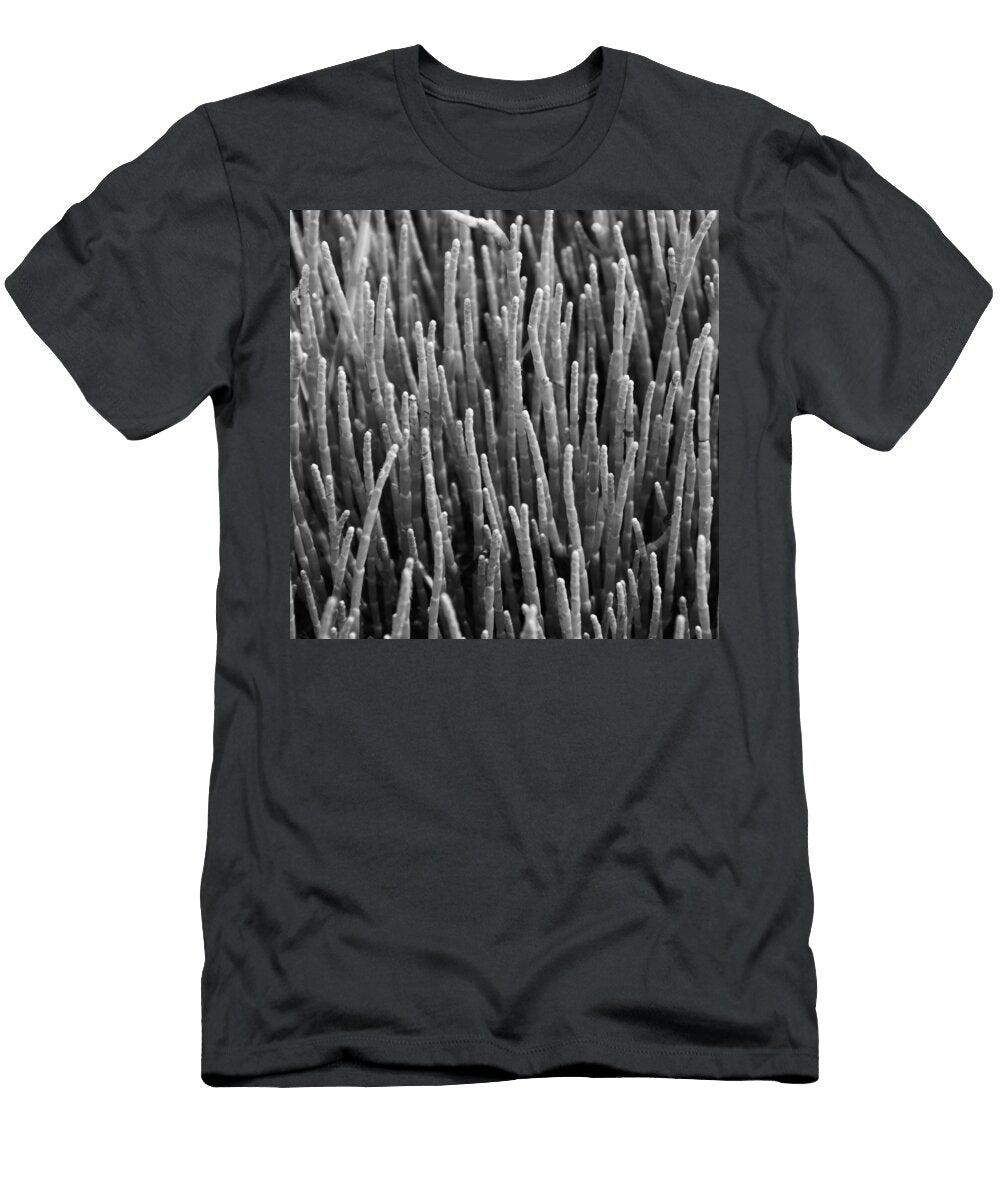 Sea Pickle Charles Harden T-Shirt