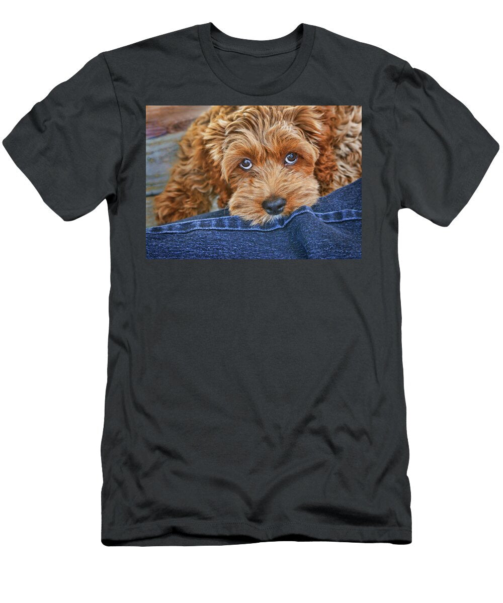 Seamus Nikolyn Mcdonald T-Shirt