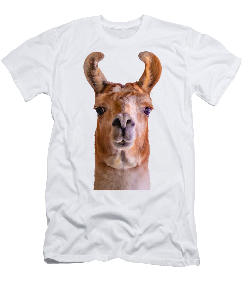 Seriously Llama Jonny D T-Shirt