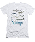 Sharks Amy Hamilton T-Shirt