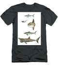 Sharks and Mola Mola Juan Bosco T-Shirt