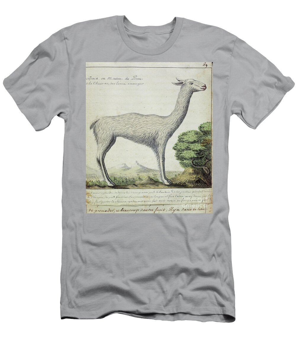 Sheep of Peru French School T-Shirt