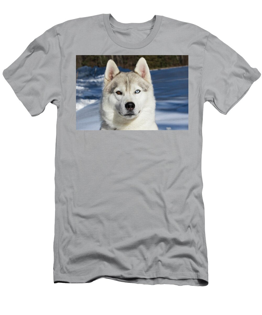 Siberian Husky Dog Head Portrait Connecticut Lynn M Stone Natureplcom T-Shirt