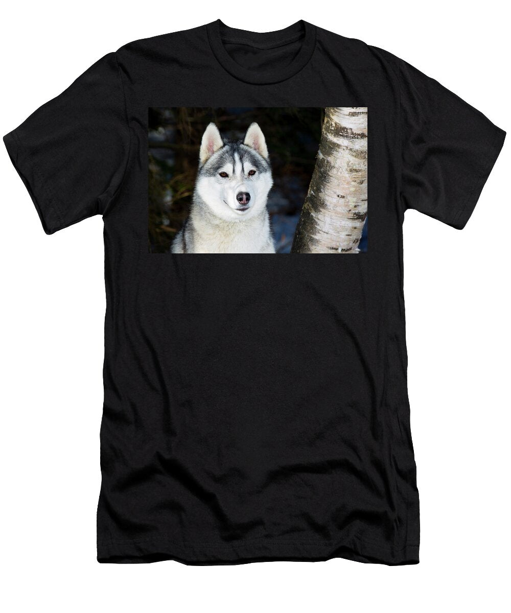Siberian Husky Dog Head Portrait Massachusetts Lynn M Stone Natureplcom T-Shirt