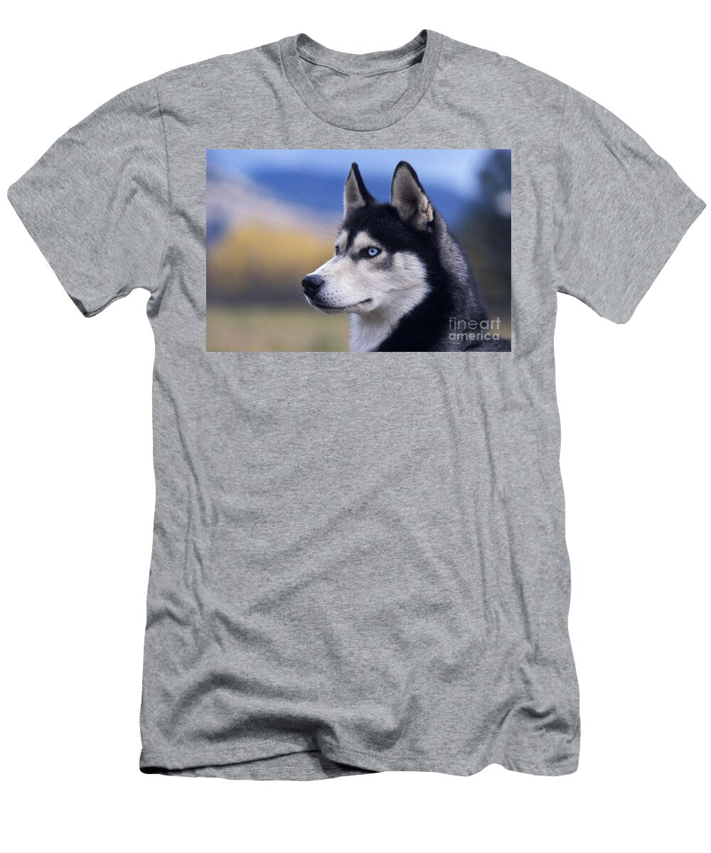 Siberian Husky Dog Rolf Kopfle T-Shirt