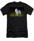 Siberian Husky Female Standing on Grass Portrait Lynn M Stone Natureplcom T-Shirt