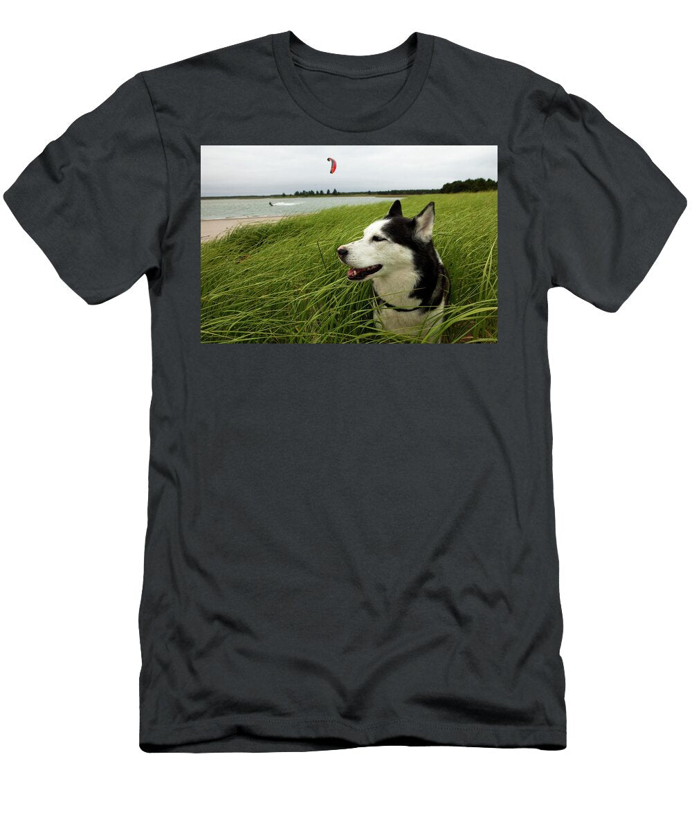 Siberian Husky Hanging Out in Long Trevor Clark T-Shirt