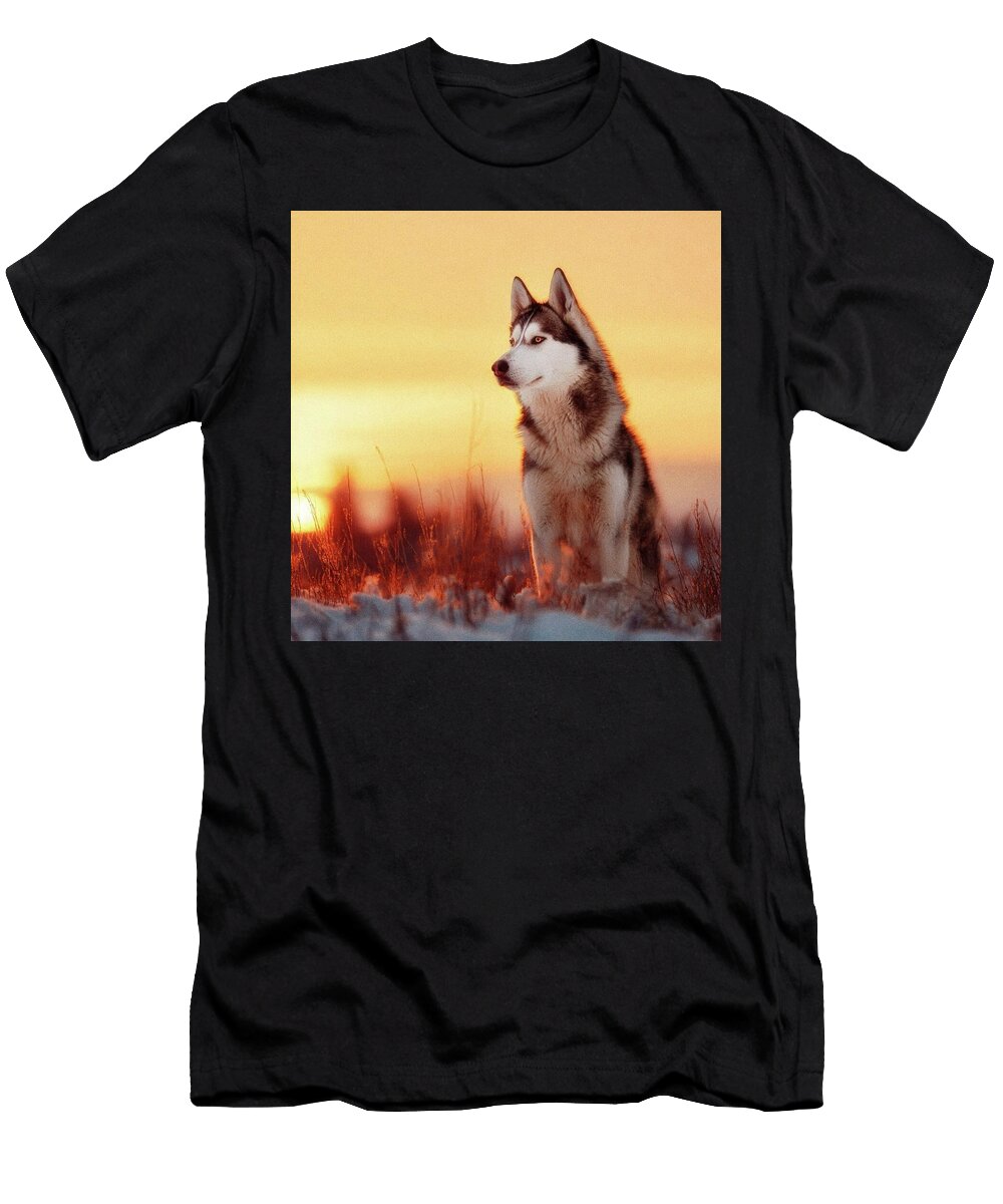 Siberian Husky in a Snowy Sunset Esoterica Art Agency T-Shirt