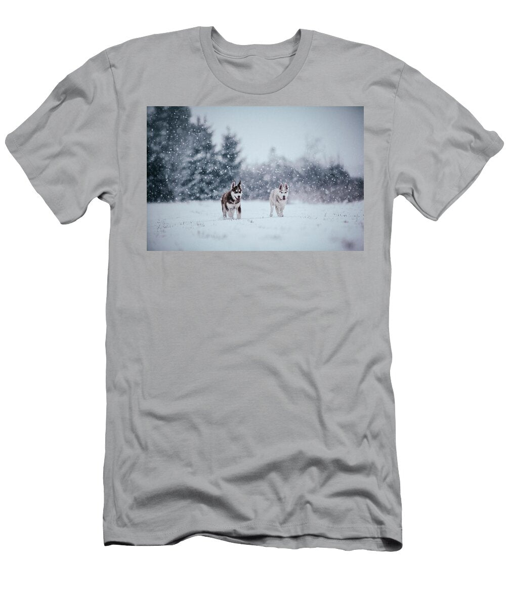 Siberian Husky in Outdoor Adam Kokot T-Shirt
