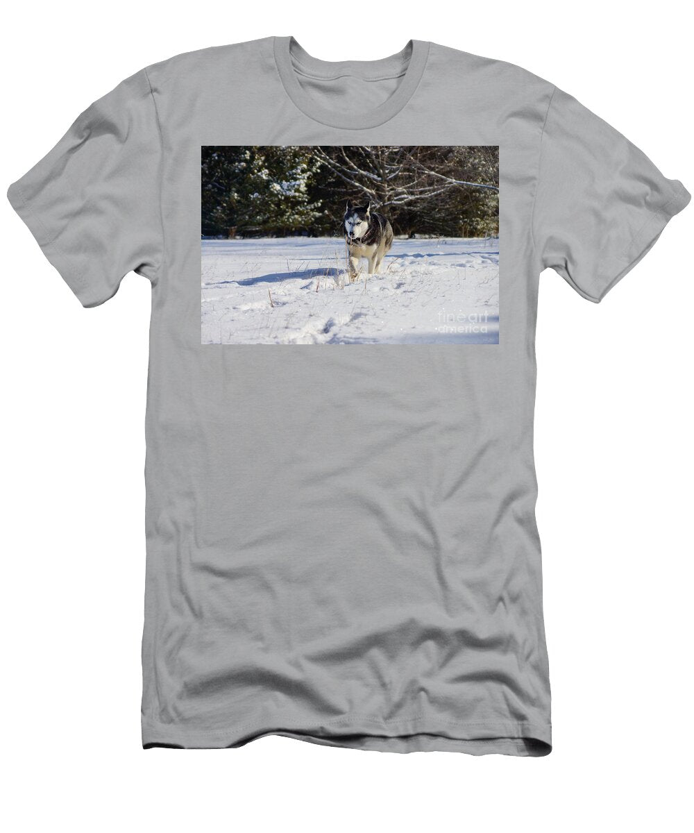 Siberian Husky in the Snow Jennifer White T-Shirt