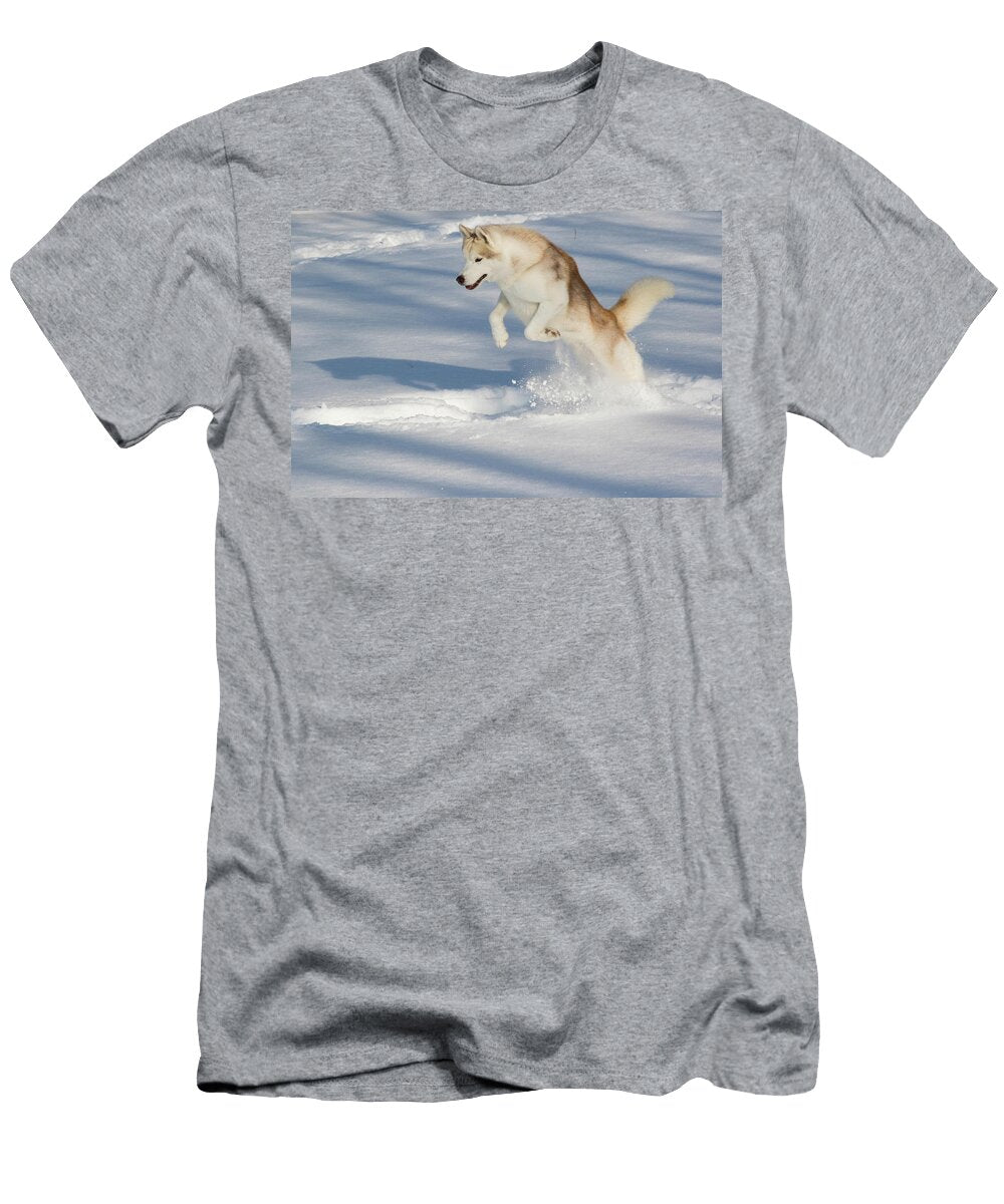Siberian Husky Jumping Running in Snow Illinois Lynn M Stone Natureplcom T-Shirt