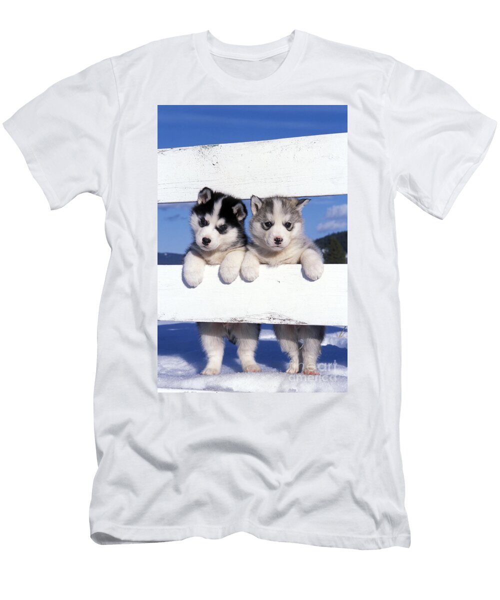 Siberian Husky Puppies Rolf Kopfle T-Shirt