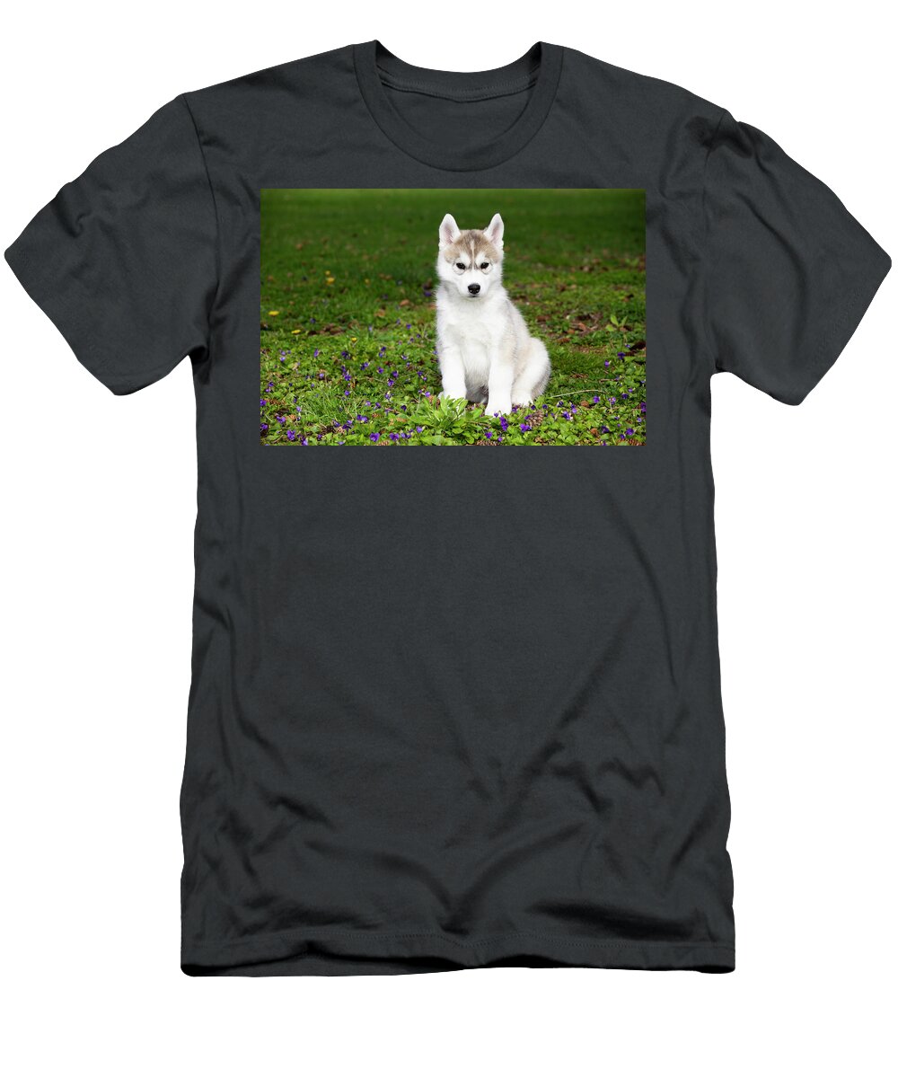 Siberian Husky Puppy Sitting on Grass Portrait Lynn M Stone Natureplcom T-Shirt