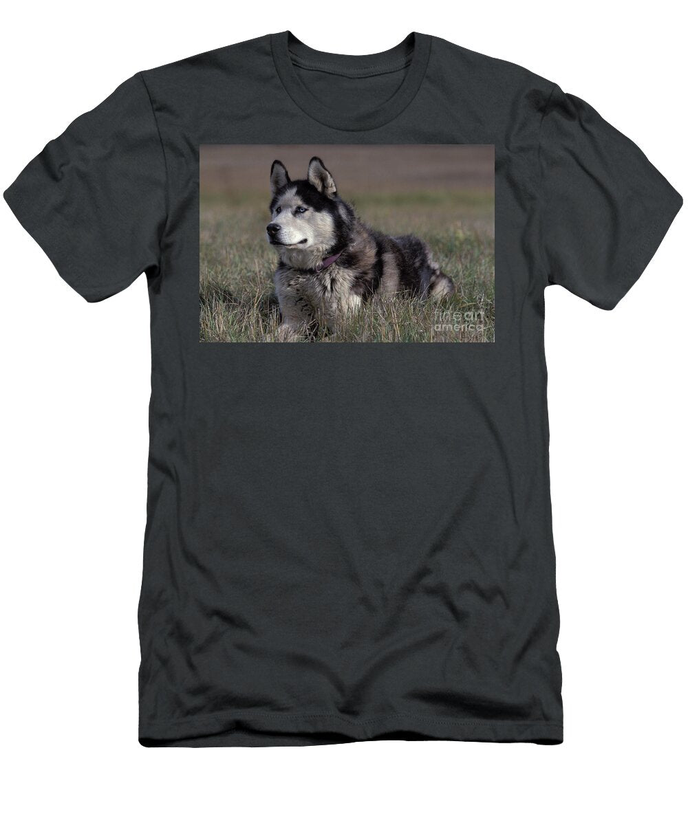 Siberian Husky Rolf Kopfle T-Shirt